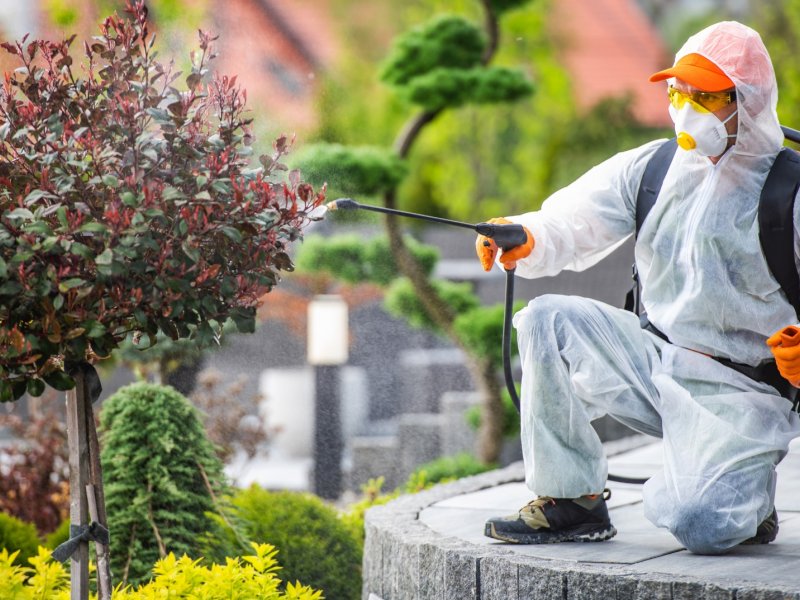 Efeler Haşere İlaçlama