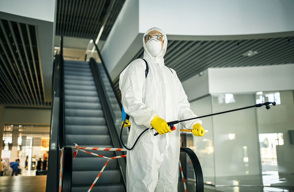 Efeler Haşere İlaçlama